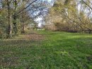 Site de l'étang de Bennechiens